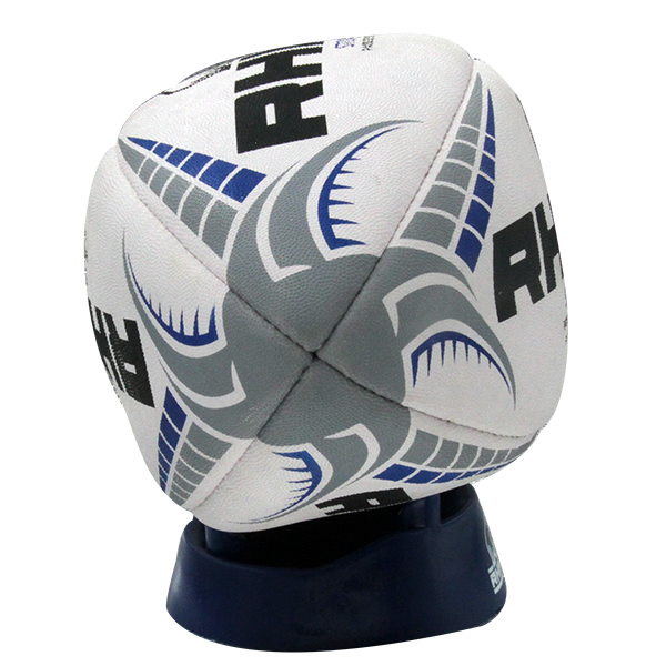 10040-STORM pass developer